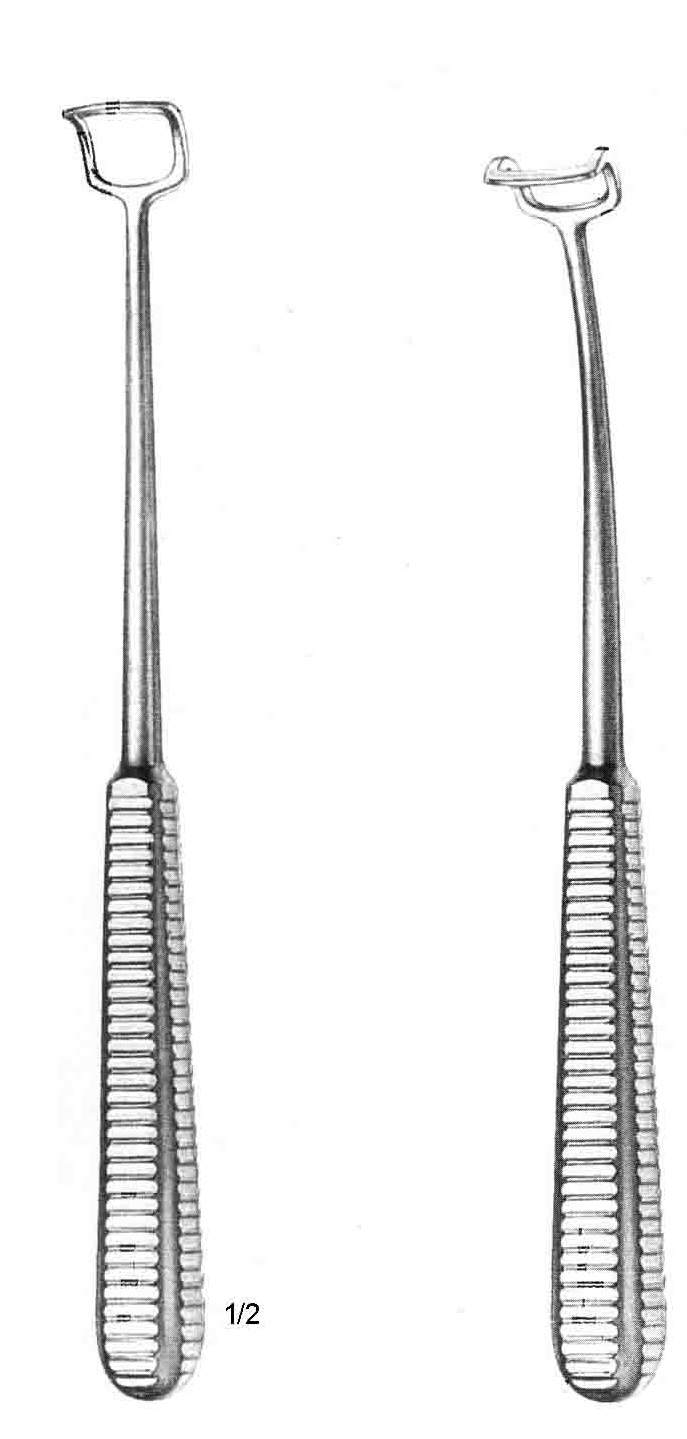 AĞIZ TAKOZU ELASTİKİ YETİŞKİN İÇİN